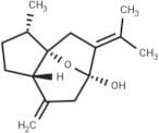 Isocurcumenol