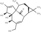 Ingenol