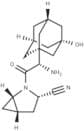 Saxagliptin