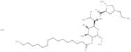 Clindamycin palmitate hydrochloride