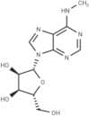 N6-methyladenosine