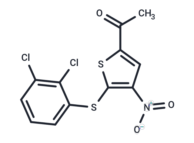P005091