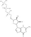 Guanosine triphosphate