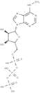 6-Me-ATP