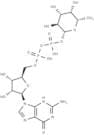 GDP-L-fucose