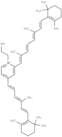Pyridinium bisretinoid A2E