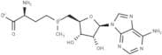 S-Adenosyl-L-methionine