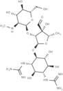 Streptomycin