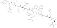 α-MSH
