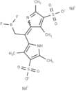 Pyrromethene 556