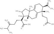Poricoic acid A