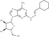 Binodenoson