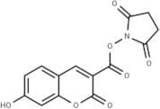 N-Succinimidyl 7-hydroxycoumarin-3-carboxylate