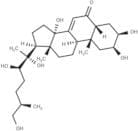25R-Inokosterone