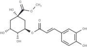 3-O-Caffeoylquinic acid methyl ester