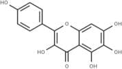 6-Hydroxykaempferol