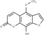 8-Hydroxybergapten