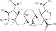 Ceanothic acid