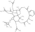 Euonymine