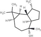 Globulol