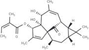 20-Deoxyingenol 3-angelate