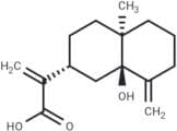 5α-Hydroxycostic acid