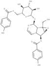 6'-O-p-Hydroxybenzoylcatalposide
