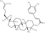 Dammarenediol II 3-O-caffeate