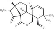 Epieriocalyxin A