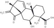 Pterisolic acid A