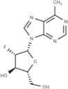 6-Methylpurine-2'-deoxy-2'-fluoro-β-D-arabinoriboside
