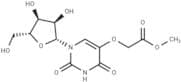 Uridine   5-oxyacetic acid methyl ester