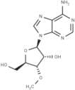 3'-O-Methyladenosine