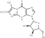 7-Methyl   wyosine
