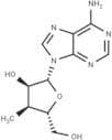 3'-Deoxy-3'-a-C-methyladenosine