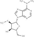 N6,N6-Dimethyl-2'-O-methyladenosine