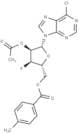 5'-O-(p-Toluoyl)-2'-O-acetyl-3'-deoxy-3'-fluoro-6-chloroinosine
