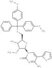 5-Furan-2-yl-2'-O-methyl-5'-O-DMT-cytidine
