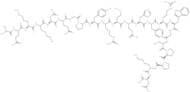 β-Melanocyte Stimulating Hormone (MSH), human