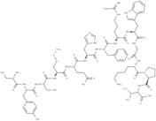 ACTH (1-13)