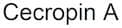 Cecropin A