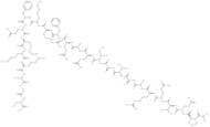 Camstatin