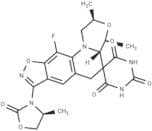 Zoliflodacin