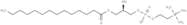 LysoPC(14:0/0:0)