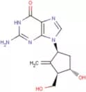 Entecavir