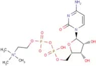 Citicoline