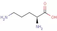 L-Ornithine
