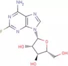 Fludarabine