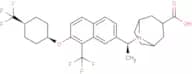 BIO-32546