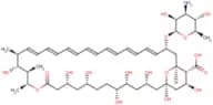 Amphotericin B